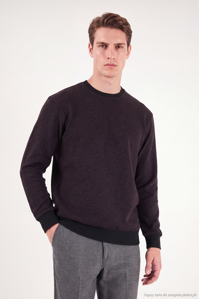 Slim Fit Bisiklet Yaka Pamuklu Erkek Kazak 456201 MÜRDÜM