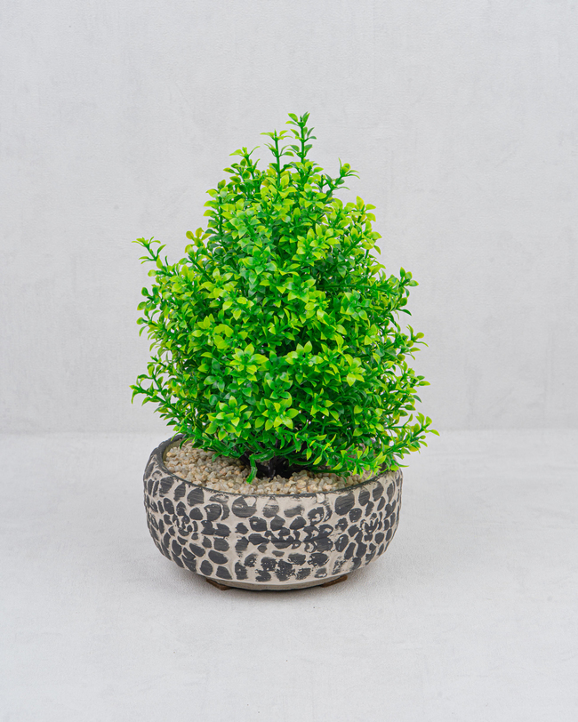 DekuvaDEKORATİF ÇAKIL AĞAÇ SİYAHMONDECOR BJE002