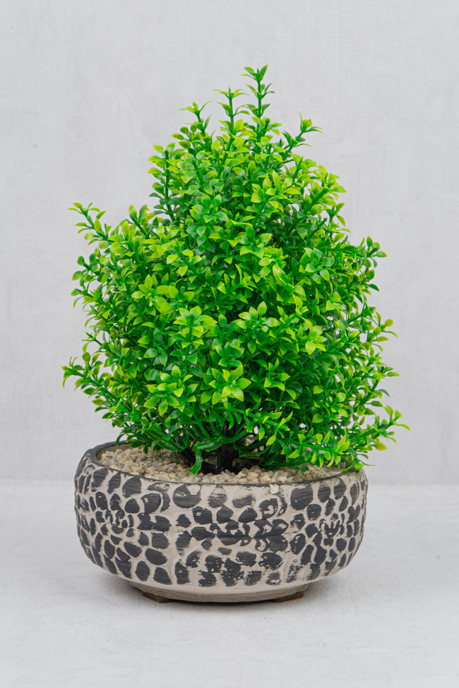 DekuvaDEKORATİF ÇAKIL AĞAÇ SİYAHMONDECOR BJE002