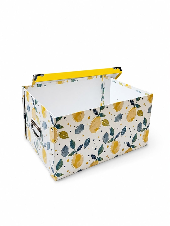 DekuvaDekuva Desenli Kapaklı Çok Amaçlı Organizer Kutu 40x30 cm0045
