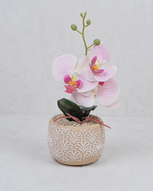 DekuvaSAKSILI ORKİDEMONDECOR BJE008