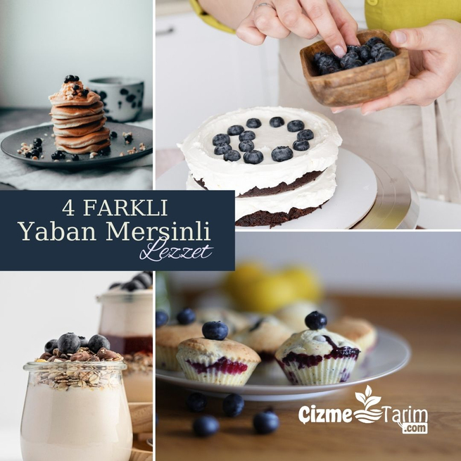 Yaban Mersini Kullanarak 4 Farklı Lezzet
