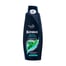 Blendax 500ml Şampuan Men Mentol