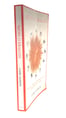 DİKKAT GELİŞTİRME