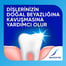 Diş Macunu/Fırça