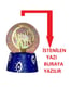 Kişiye Özel Kar Küresi