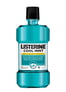 Listerine Ağız Bakım Suyu Cool Mint 250 ml