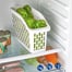 Organizers Düzenleyici Maxi Renkli Org-22