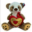 Peluş 30 cm Kalp Tutan Panda PL62909