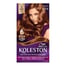 Saç Boyası