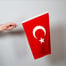 Sallama Türk Bayrağı
