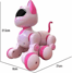 Uzaktan Kumandalı Kedi