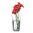Vazo Botanica Paşabahçe