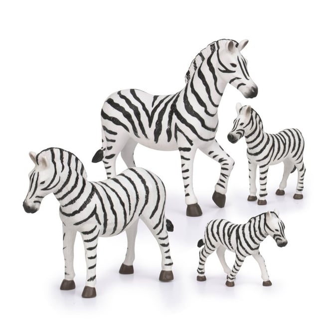 Terra Zebra Ailesi