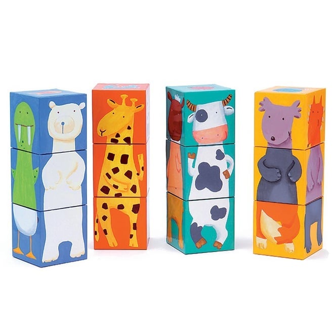 12 Colour Animals Cubes