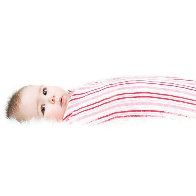 Aden Anais Dörtlü Müslin Set/Princess Posie