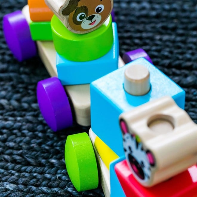 Hape Discovery Train Oyuncak Ahşap Tren
