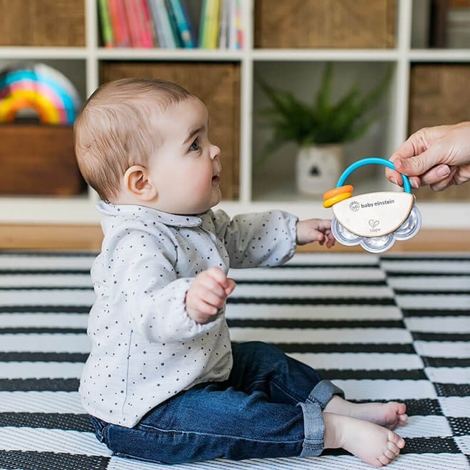 Hape Tiny Tambourine Oyuncak Ahşap Tef