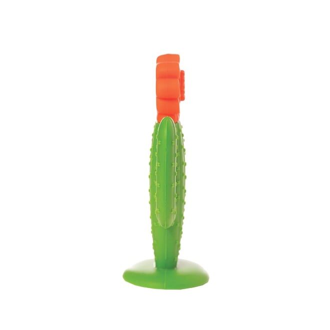 Manhattan Toy Diş Kaşıyıcı - Kaktüs