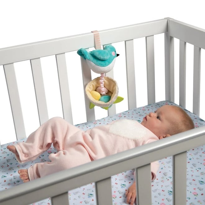 Manhattan Toy Müzikal Çekmeli Oyuncak Kuş