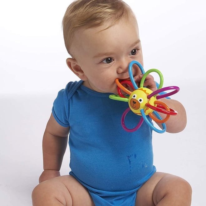 Manhattan Toy Zoo Winkels Diş Kaşıyıcı - Aslan