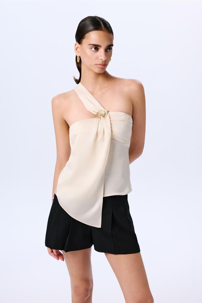 Brooch Detailed Elegant Beige Blouse  