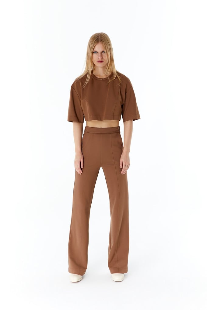 Camel Basic Crop T-Shirt