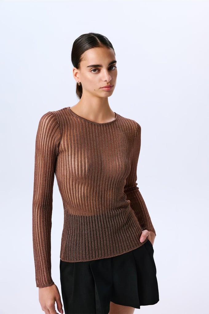 Glittery Transparent Copper Blouse  