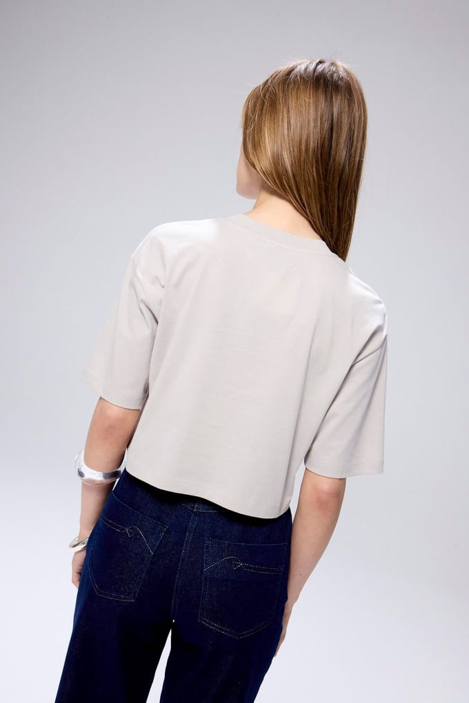 Flower Embroidery Detail Crop Gray T-shirt