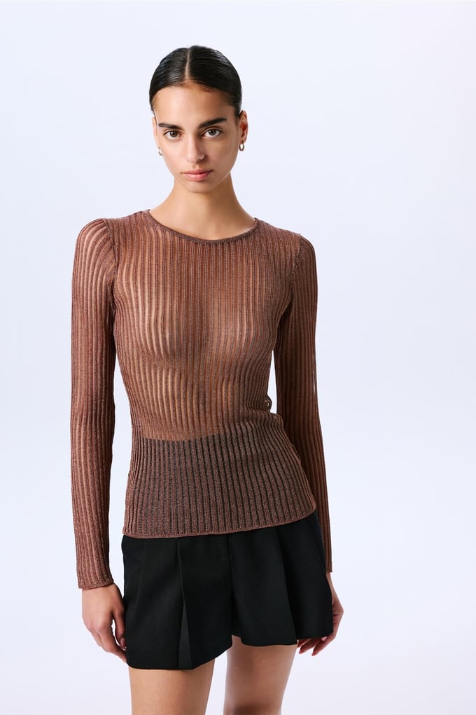 Glittery Transparent Copper Blouse  