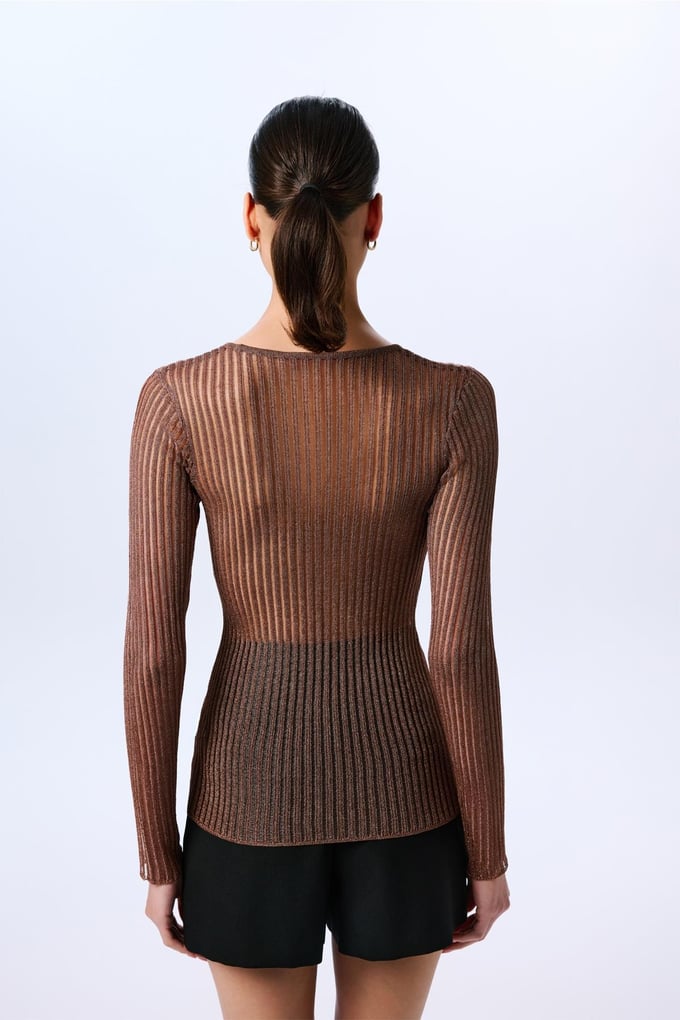 Glittery Transparent Copper Blouse  