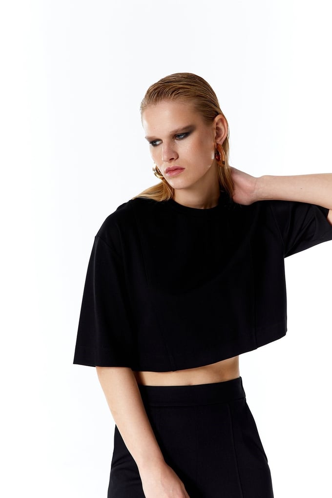 Basic Crop T-Shirt
