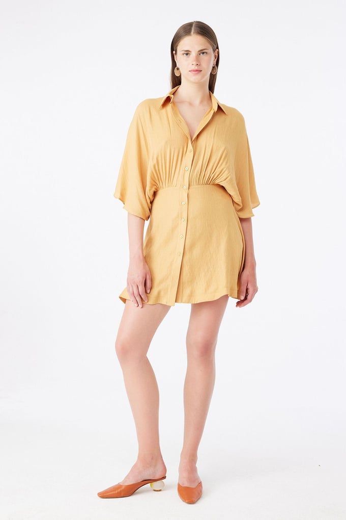 Brown Mini Shirt Dress