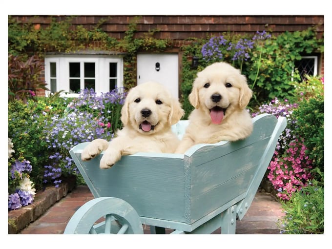 Bahçıvan Köpekler  - 260 Parça Puzzle - 3310