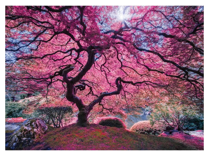 Pink Tree - 1000 Parça Puzzle - 1037