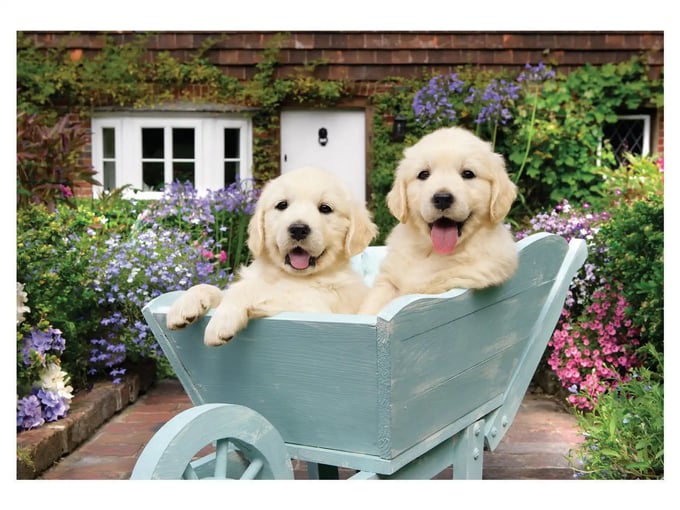 Bahçıvan Köpekler  - 260 Parça Puzzle - 3310