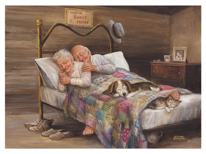 Ev Gibisi Yok  - 1000 Parça Puzzle - 3124