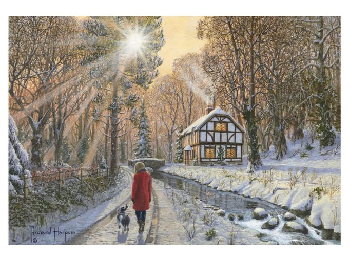 KARLI ORMAN, WİNTER WOODLAND