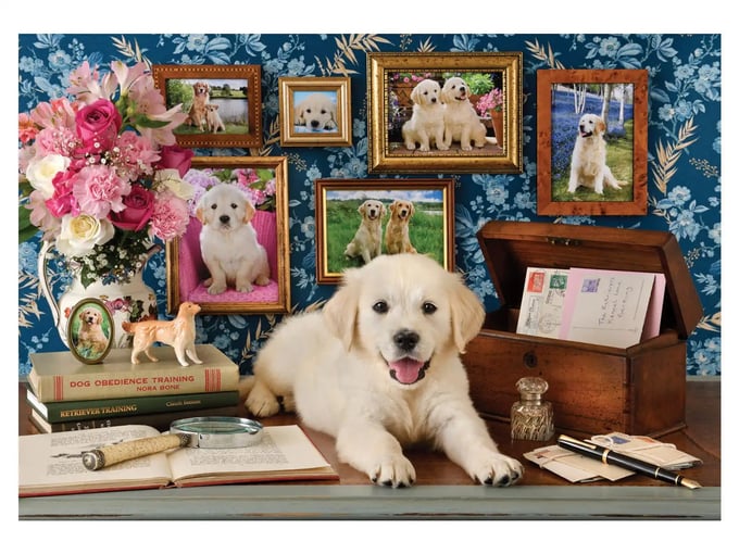 Labrador - 500 Parça Puzzle - 3637