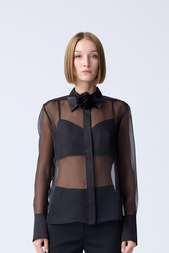 Front Button Sheer Elegant Black Blouse