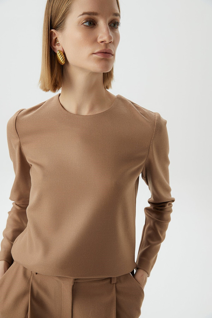 Long Sleeve Camel Basic Blouse