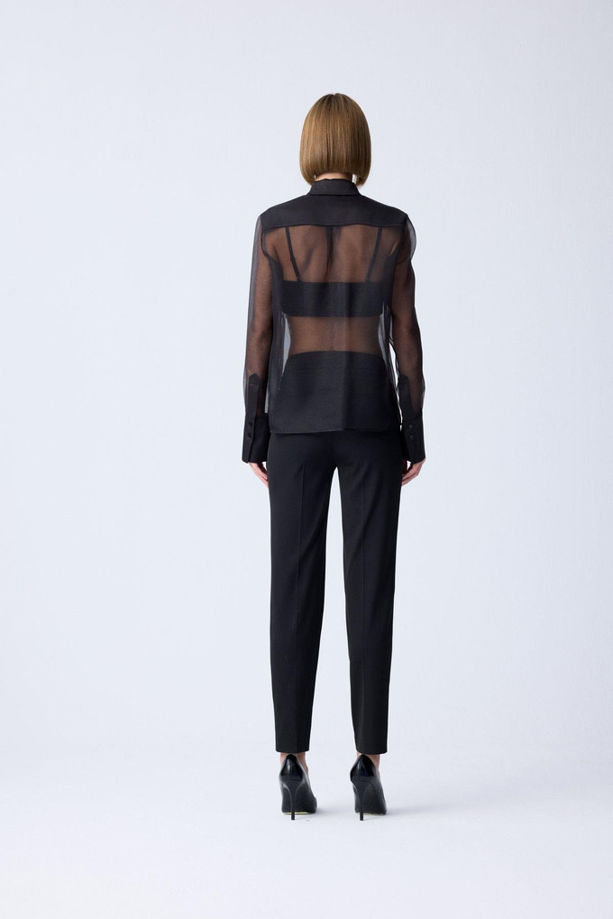 Front Button Sheer Elegant Black Blouse