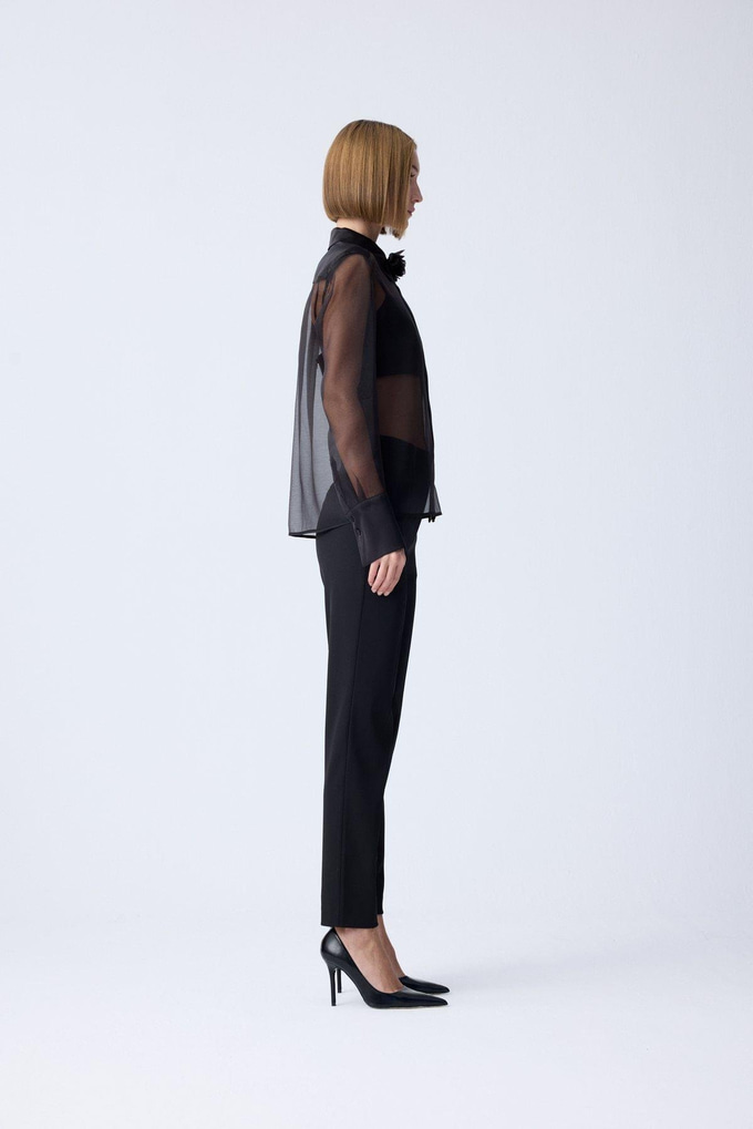 Front Button Sheer Elegant Black Blouse