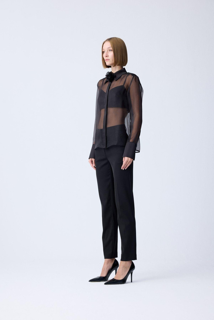 Front Button Sheer Elegant Black Blouse