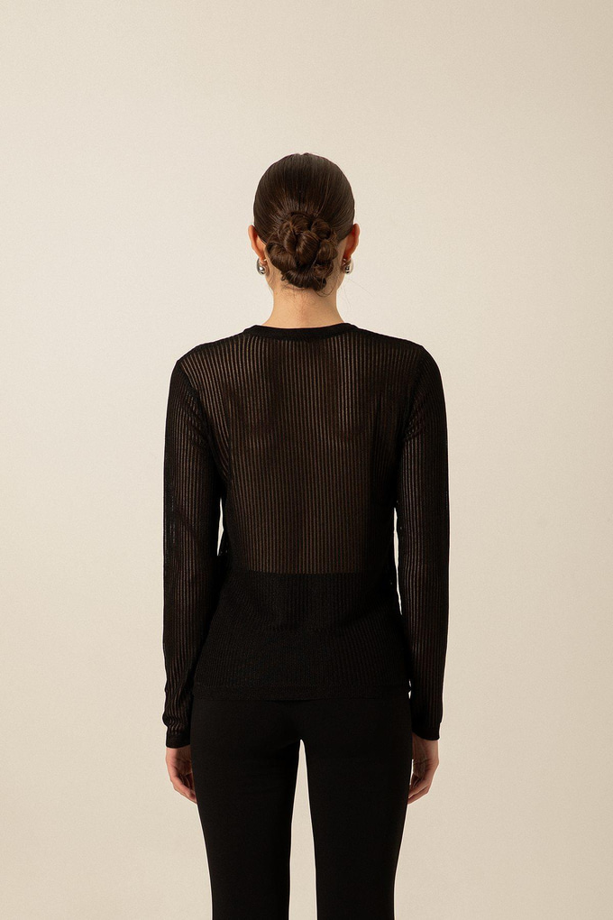 Sheer Black Basic Knit