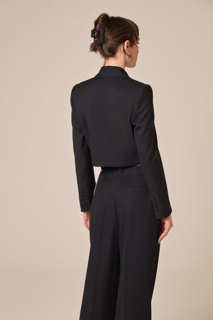 Uzun Kollu Siyah Crop Ceket