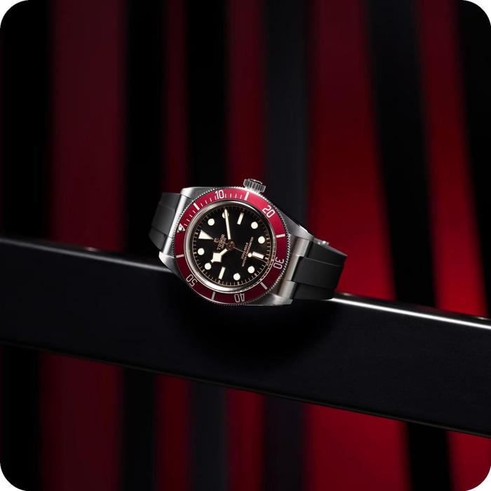 Tudor Black Bay  
