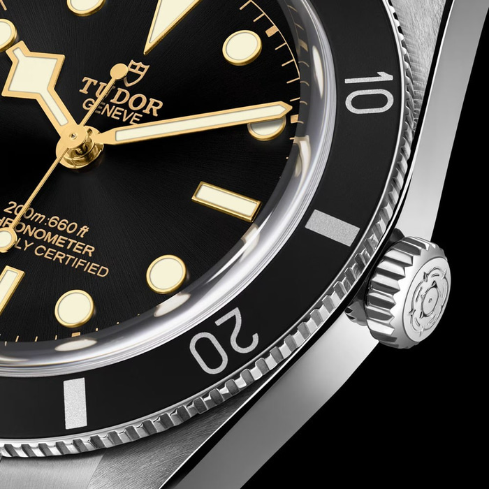 Tudor Black Bay 54 54