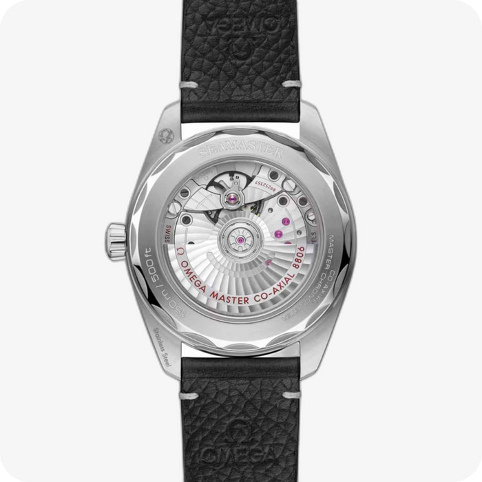 Omega Seamaster Railmaster
