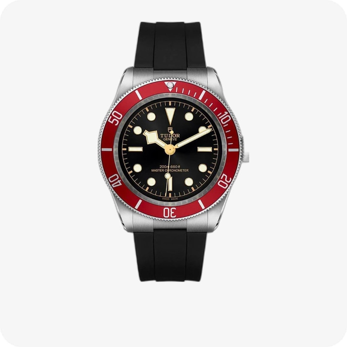 Tudor Black Bay  